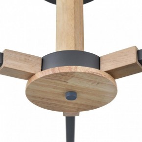 Люстра на штанге Lumion Colange 8096/3C в Приобье - priobie.ok-mebel.com | фото 7