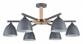 Люстра на штанге Lumion Colange 8096/6C в Приобье - priobie.ok-mebel.com | фото