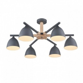 Люстра на штанге Lumion Colange 8096/6C в Приобье - priobie.ok-mebel.com | фото 3