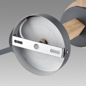 Люстра на штанге Lumion Colange 8096/6C в Приобье - priobie.ok-mebel.com | фото 6
