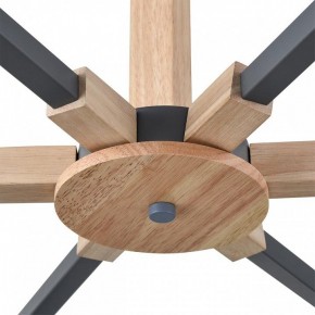Люстра на штанге Lumion Colange 8096/6C в Приобье - priobie.ok-mebel.com | фото 7
