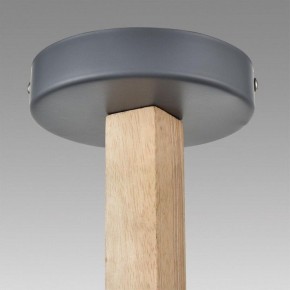 Люстра на штанге Lumion Colange 8096/6C в Приобье - priobie.ok-mebel.com | фото 9
