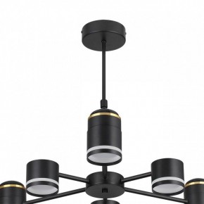 Люстра на штанге Lumion Virsava 8234/6C в Приобье - priobie.ok-mebel.com | фото 5