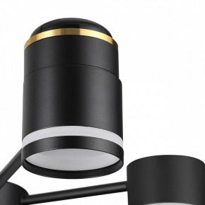Люстра на штанге Lumion Virsava 8234/6C в Приобье - priobie.ok-mebel.com | фото 8