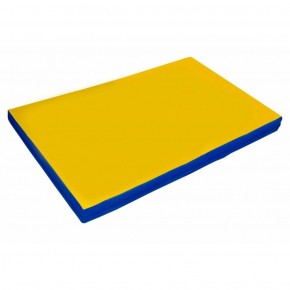 Мат гимнастический, прямоугольный. Длина 2 м, ширина 1 м, толщина 8 см синий-желтый   в Приобье - priobie.ok-mebel.com | фото