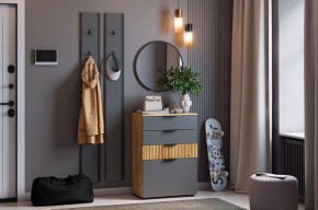 МЕБЕЛЬСОН К21 Прихожая в Приобье - priobie.ok-mebel.com | фото 2