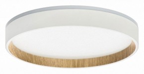 Накладной светильник Citilux Etalon CL750240 в Приобье - priobie.ok-mebel.com | фото