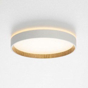 Накладной светильник Citilux Etalon CL750240 в Приобье - priobie.ok-mebel.com | фото 4