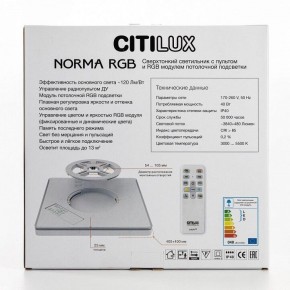 Накладной светильник Citilux Norma CL749K301 в Приобье - priobie.ok-mebel.com | фото 10