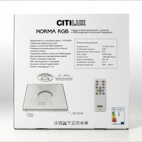 Накладной светильник Citilux Norma CL749K400 в Приобье - priobie.ok-mebel.com | фото 17