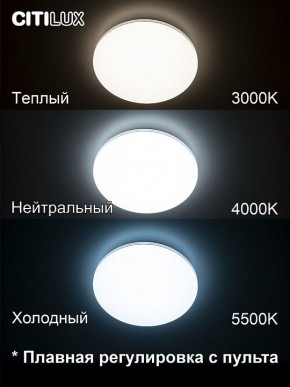 Накладной светильник Citilux Симпла CL714330G в Приобье - priobie.ok-mebel.com | фото 4