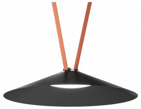 Накладной светильник Denkirs Belty Flow DK5568-BK в Приобье - priobie.ok-mebel.com | фото 2