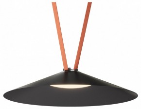 Накладной светильник Denkirs Belty Flow DK5569-BK в Приобье - priobie.ok-mebel.com | фото 2