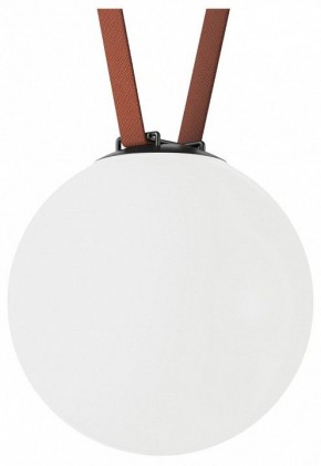 Накладной светильник Denkirs Belty Orb DK5554-BK в Приобье - priobie.ok-mebel.com | фото