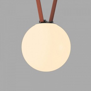 Накладной светильник Denkirs Belty Orb DK5555-BK в Приобье - priobie.ok-mebel.com | фото 2