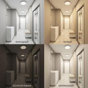 Накладной светильник Denkirs Cany DK6516-WH в Приобье - priobie.ok-mebel.com | фото 2