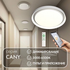Накладной светильник Denkirs Cany DK6516-WH в Приобье - priobie.ok-mebel.com | фото 4