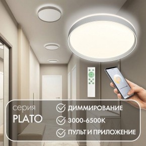 Накладной светильник Denkirs PLATO DK6511-WH/1 в Приобье - priobie.ok-mebel.com | фото 4