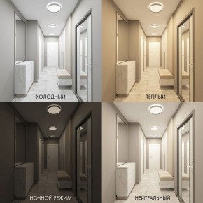 Накладной светильник Denkirs PLATO DK6511-WH/1 в Приобье - priobie.ok-mebel.com | фото 5