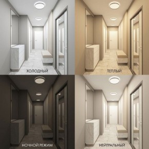 Накладной светильник Denkirs PLATO DK6511-WH в Приобье - priobie.ok-mebel.com | фото 3