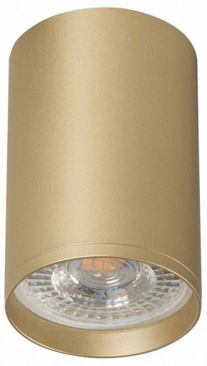 Накладной светильник Denkirs Tube DK2050-SG в Приобье - priobie.ok-mebel.com | фото