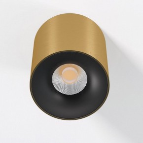 Накладной светильник Elektrostandard Primo 25116/LED в Приобье - priobie.ok-mebel.com | фото 2