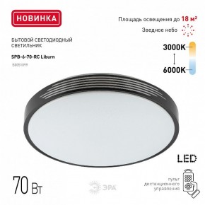 Накладной светильник Эра Классик SPB-6-70-RC Liburn в Приобье - priobie.ok-mebel.com | фото 10