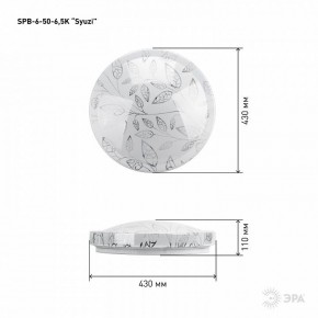 Накладной светильник Эра Relict SPB-6-50-6,5K Syuzi в Приобье - priobie.ok-mebel.com | фото 3
