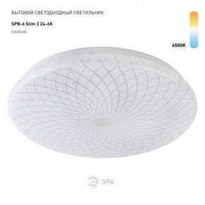 Накладной светильник Эра Slim SPB-6 Slim 3 24-6K в Приобье - priobie.ok-mebel.com | фото 2
