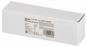 Накладной светильник Эра  TRM-S5-1-6W4K-BK в Приобье - priobie.ok-mebel.com | фото 6