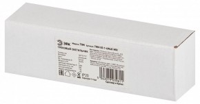 Накладной светильник Эра  TRM-S5-1-6W4K-WH в Приобье - priobie.ok-mebel.com | фото 6