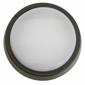 Накладной светильник Feron AL3020 51476 в Приобье - priobie.ok-mebel.com | фото 4