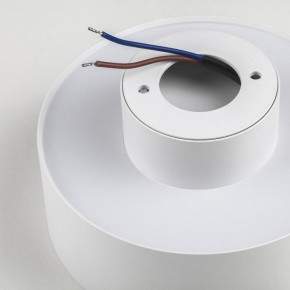 Накладной светильник Lightstar Acuto 215946 в Приобье - priobie.ok-mebel.com | фото 5