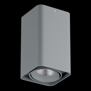 Накладной светильник Lightstar Monocco 052139-IP65 в Приобье - priobie.ok-mebel.com | фото 2