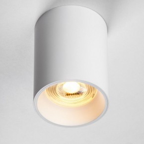 Накладной светильник Lightstar Rullo 213436 в Приобье - priobie.ok-mebel.com | фото 2