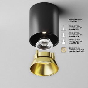 Накладной светильник Maytoni Alfa LED C064CL-12W4K-RD-B в Приобье - priobie.ok-mebel.com | фото 3