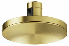 Накладной светильник Maytoni Plato TR152-1-7W4K-BS в Приобье - priobie.ok-mebel.com | фото