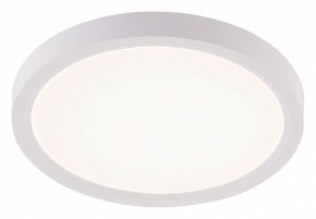 Накладной светильник Natali Kovaltseva PLAIN LED LAMPS 81113/1C в Приобье - priobie.ok-mebel.com | фото