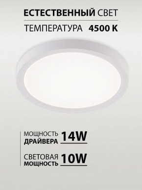 Накладной светильник Natali Kovaltseva PLAIN LED LAMPS 81113/1C в Приобье - priobie.ok-mebel.com | фото 4