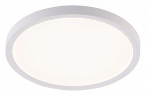 Накладной светильник Natali Kovaltseva PLAIN LED LAMPS 81113/2C в Приобье - priobie.ok-mebel.com | фото