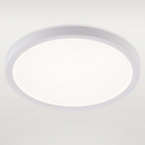 Накладной светильник Natali Kovaltseva PLAIN LED LAMPS 81113/2C в Приобье - priobie.ok-mebel.com | фото 2
