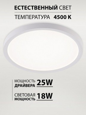 Накладной светильник Natali Kovaltseva PLAIN LED LAMPS 81113/2C в Приобье - priobie.ok-mebel.com | фото 3