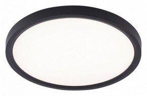 Накладной светильник Natali Kovaltseva PLAIN LED LAMPS 81114/2C в Приобье - priobie.ok-mebel.com | фото