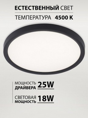 Накладной светильник Natali Kovaltseva PLAIN LED LAMPS 81114/2C в Приобье - priobie.ok-mebel.com | фото 3