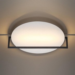 Накладной светильник Odeon Light Next 7015/20WL в Приобье - priobie.ok-mebel.com | фото 2