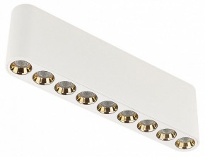 Накладной светильник Odeon Light Small 7091/21CL в Приобье - priobie.ok-mebel.com | фото