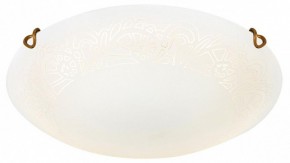 Накладной светильник Sonex Ammonite 7602/DL в Приобье - priobie.ok-mebel.com | фото 3