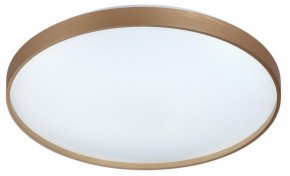 Накладной светильник Sonex Gaby 7783/EL в Приобье - priobie.ok-mebel.com | фото 4