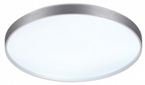 Накладной светильник Sonex Gaby 7784/EL в Приобье - priobie.ok-mebel.com | фото 4