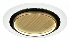 Накладной светильник Sonex Sunny 7731/80L в Приобье - priobie.ok-mebel.com | фото